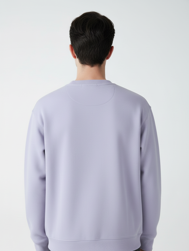 Chaudhar's Light Purple  Oversized Sweatshirt