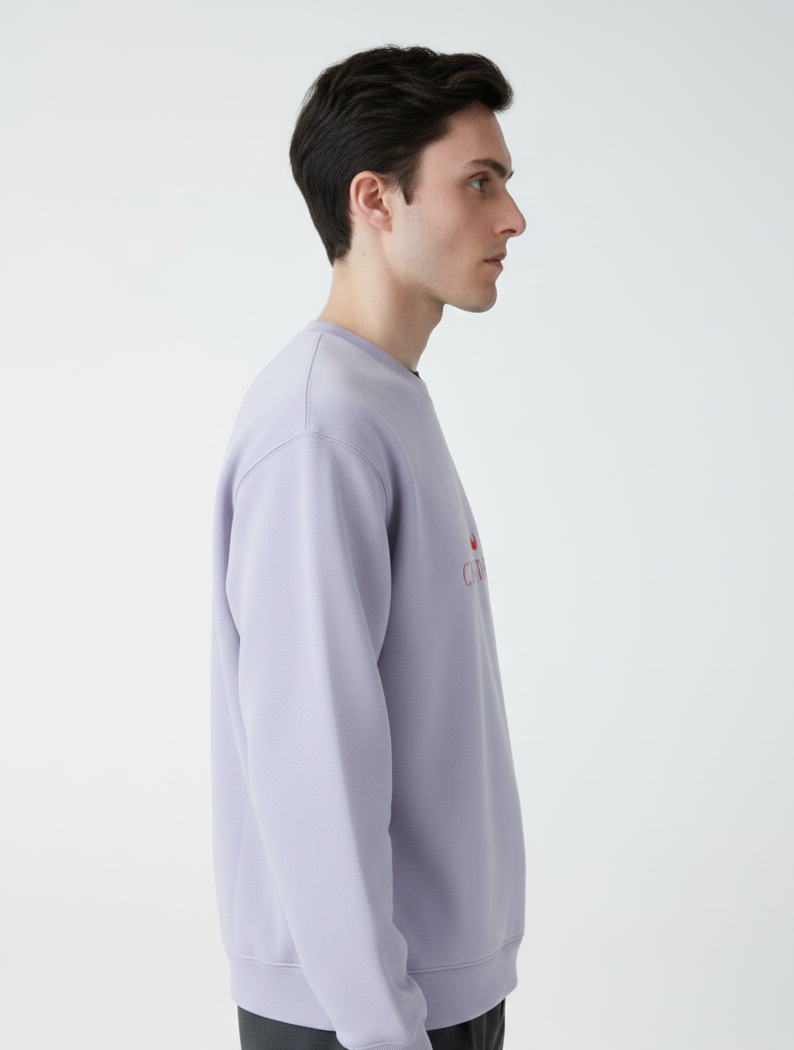 Chaudhar's Light Purple  Oversized Sweatshirt