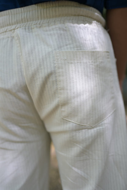 Chaudhar Linen Lining Straight Fit Beige Trouser
