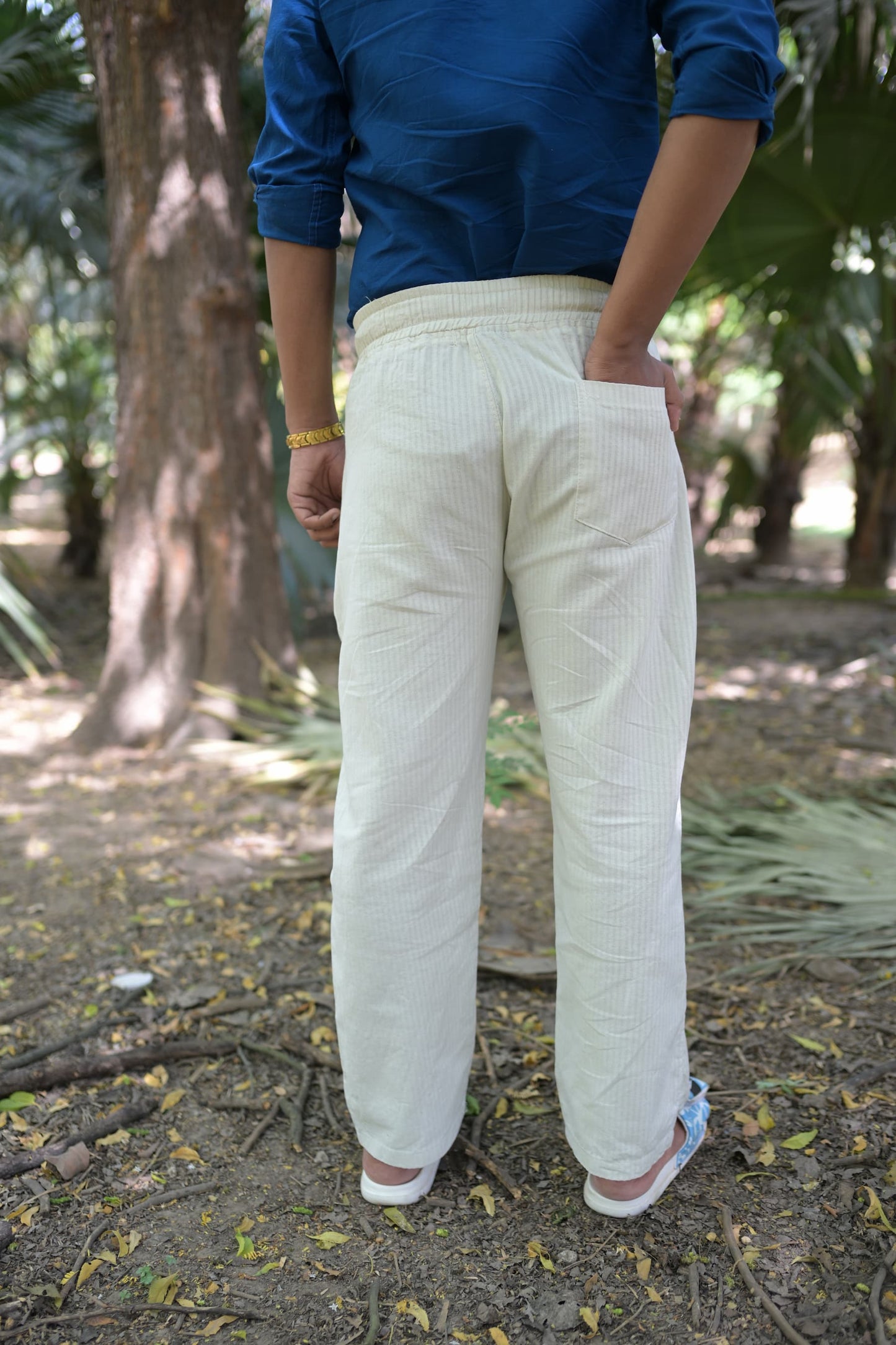 Chaudhar Linen Lining Straight Fit Beige Trouser